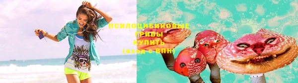 таблы Белокуриха
