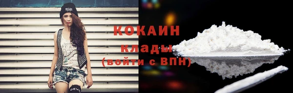 ГАЛЛЮЦИНОГЕННЫЕ ГРИБЫ Белоозёрский