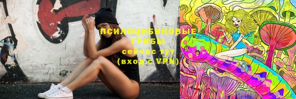 ГАЛЛЮЦИНОГЕННЫЕ ГРИБЫ Белоозёрский