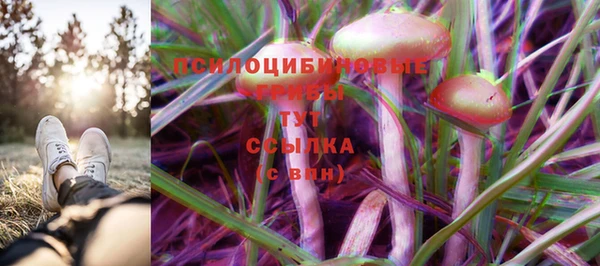 прущая мука Беломорск