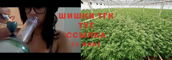 ГАЛЛЮЦИНОГЕННЫЕ ГРИБЫ Белоозёрский