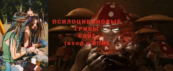 ГАЛЛЮЦИНОГЕННЫЕ ГРИБЫ Белоозёрский