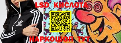 прущие грибы Гагарин