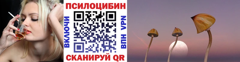 как найти наркотики  Верхний Уфалей  Галлюциногенные грибы GOLDEN TEACHER 