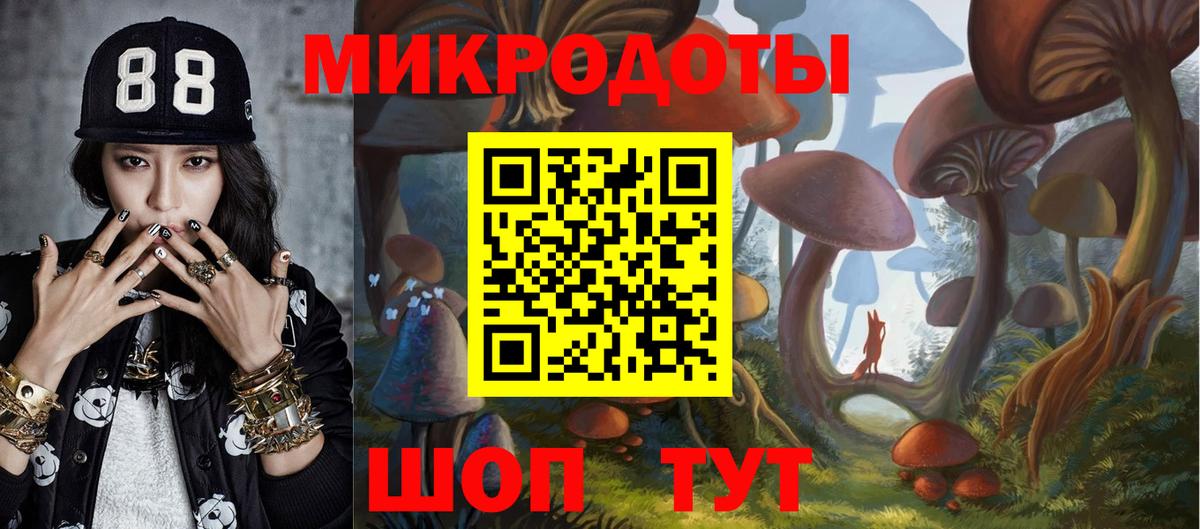 Псилоцибиновые грибы мухоморы Верхний Уфалей